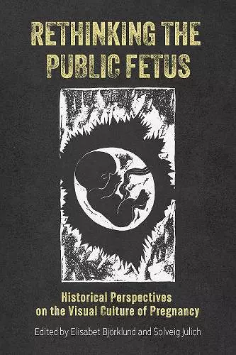 Rethinking the Public Fetus cover