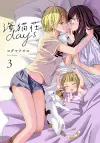 Days of Love at Seagull Villa Vol. 3 cover