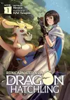 Reincarnated as a Dragon Hatchling (Light Novel) Vol. 1 cover