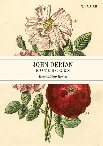 John Derian Paper Goods: Everything Roses Notebooks cover