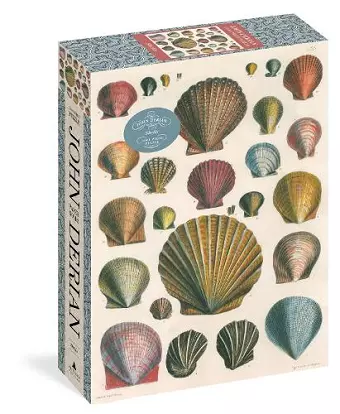 John Derian Paper Goods: Shells 1,000-Piece Puzzle cover