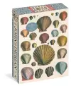 John Derian Paper Goods: Shells 1,000-Piece Puzzle cover