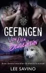 Gefangen von den Berserkern cover