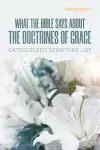 What The Bible Says About The Doctrines Of Grace cover