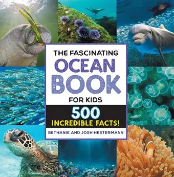 The Fascinating Ocean Book for Kids cover