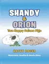 Shandy & Orion cover