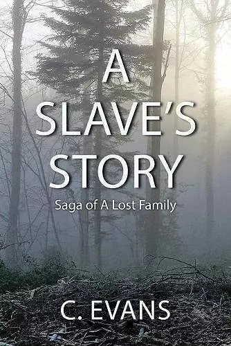 A Slave's Story cover