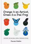 Orange Is an Apricot, Green Is a Tree Frog cover