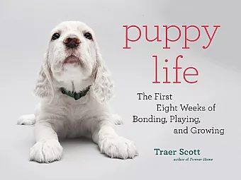 Puppy Life cover