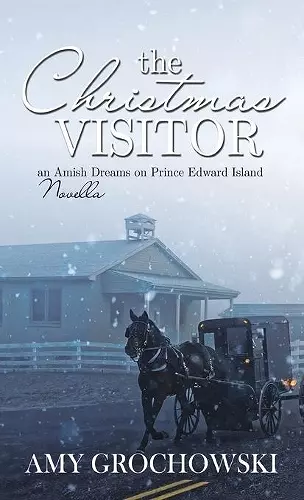 The Christmas Visitor cover