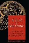 A Life of Meaning cover