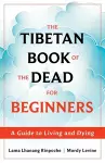 The Tibetan Book of the Dead for Beginners cover