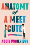 Anatomy of a Meet Cute cover