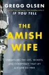 The Amish Wife cover