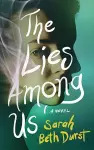 The Lies Among Us cover