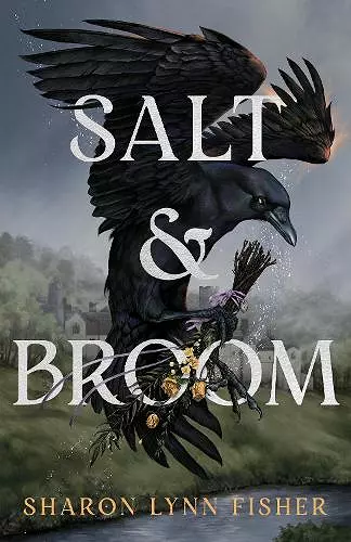 Salt & Broom cover