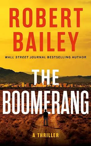 The Boomerang cover