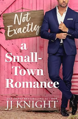 Not Exactly a Small-Town Romance cover