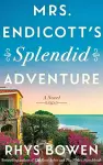 Mrs. Endicott's Splendid Adventure cover