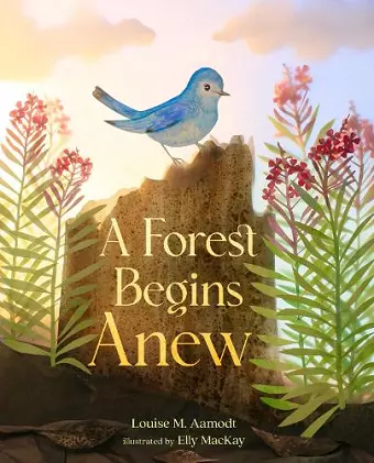 A Forest Begins Anew cover