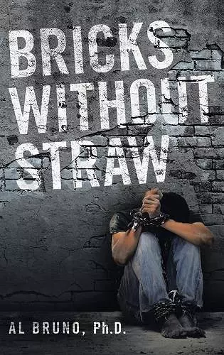 Bricks Without Straw cover