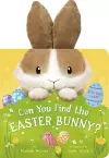 Can You Find the Easter Bunny? cover