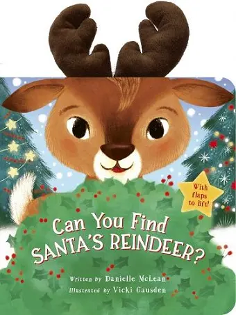 Can You Find Santa's Reindeer? cover