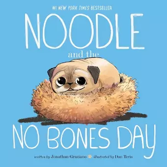 Noodle and the No Bones Day cover