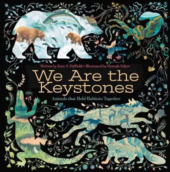We Are the Keystones cover