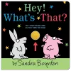 Hey! What's That? cover