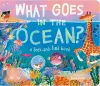 What Goes in the Ocean? cover
