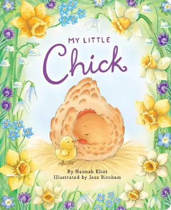 My Little Chick cover