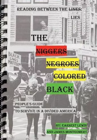 The Black People's Guide To Survive In A Divided America cover