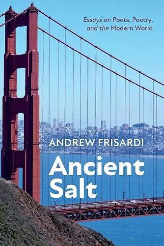 Ancient Salt cover