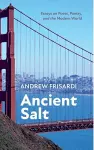 Ancient Salt cover