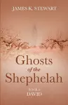 Ghosts of the Shephelah, Book 8 cover