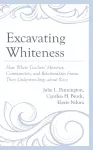 Excavating Whiteness cover