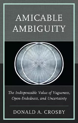 Amicable Ambiguity cover