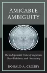 Amicable Ambiguity cover