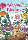 Blossoms and Blooms Coloring cover