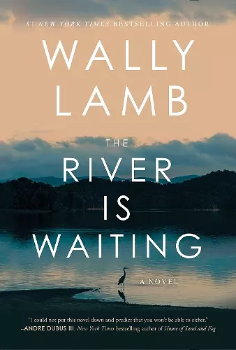 The River Is Waiting cover