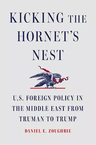 Kicking the Hornet's Nest cover