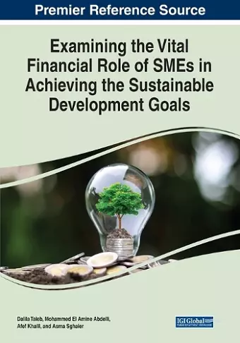 Examining the Vital Financial Role of SMEs in Achieving the Sustainable Development Goals cover