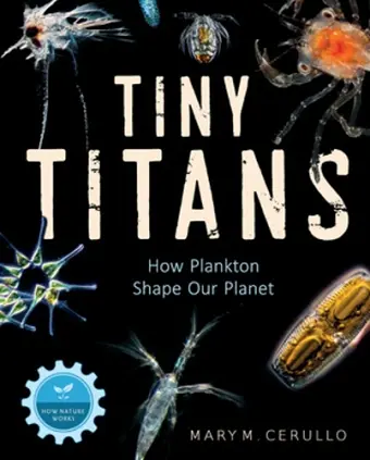 Tiny Titans cover