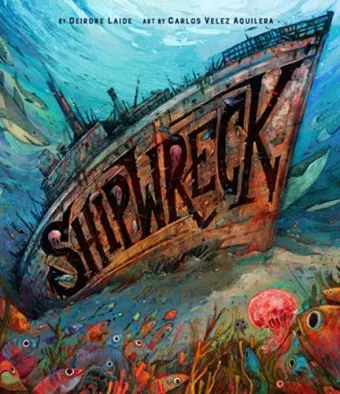 Shipwreck cover