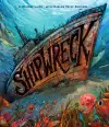 Shipwreck cover