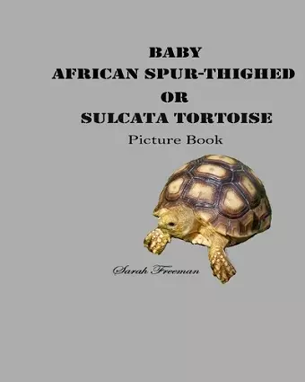 Baby African Spur-Thighed or Sulcata Tortoise Picture Book cover