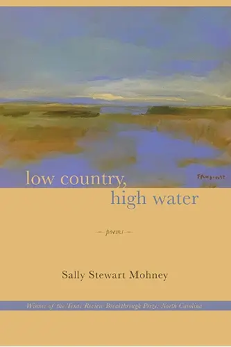 Low Country, High Water cover