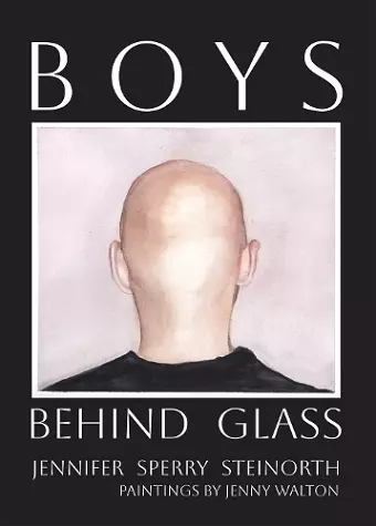 Boys Behind Glass Volume 3 cover