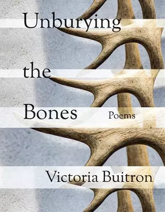 Unburying the Bones Volume 1 cover